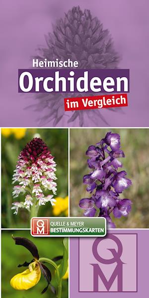 Heimische Orchideen - Quelle & Meyer Verlag - Books - Quelle & Meyer - 9783494019260 - June 9, 2022