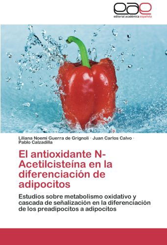 Cover for Pablo Calzadilla · El Antioxidante N-acetilcisteína en La  Diferenciación De Adipocitos: Estudios Sobre Metabolismo Oxidativo Y Cascada De Señalización en La ... Preadipocitos a Adipocitos (Paperback Book) [Spanish edition] (2012)