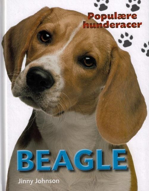 Cover for Jinny Johnson · Populære hunderacer: POPULÆRE HUNDERACER: Beagle (Bound Book) [1. Painos] (2016)