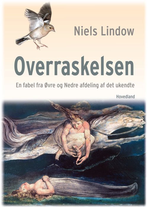 Cover for Niels Lindow · Overraskelsen (Sewn Spine Book) [1st edition] (2012)