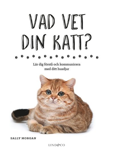 Cover for Sally Morgan · Vad vet din katt? : lär dig förstå och kommunicera med ditt husdjur (Bound Book) (2018)