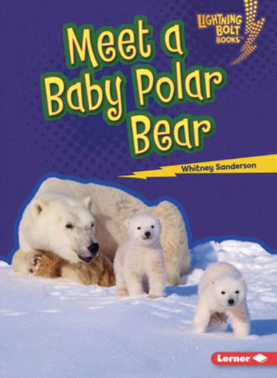Cover for Whitney Sanderson · Meet a Baby Polar Bear (Book) (2023)