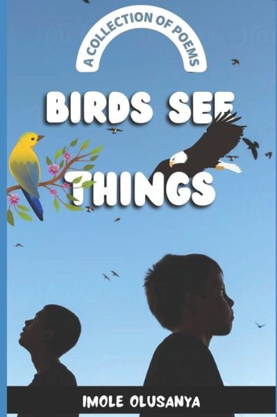 Cover for Imole Olusanya · Birds See Things: (A Collection of Poems) (Paperback Book) (2022)