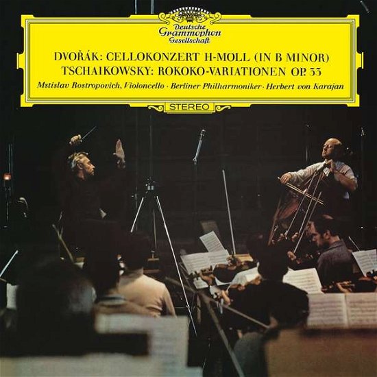Cover for Dvorak / Tchaikovsky · Cello Concerto In B Minor Op.104 (LP) (2017)
