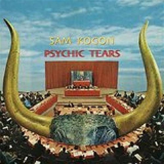 Cover for Sam Kogon · Psychic Tears (LP) (2016)