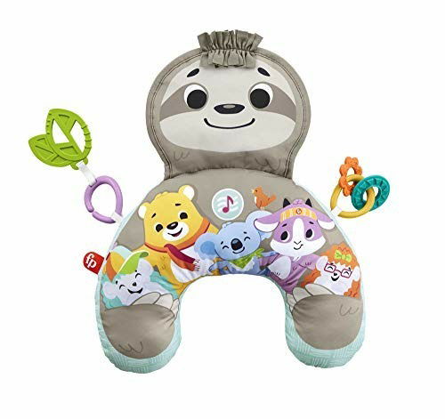 Grr01 - Faultierspielkissen Mit Vibration - Fisher-price - Merchandise - Fisher-Price - 0887961910261 - 