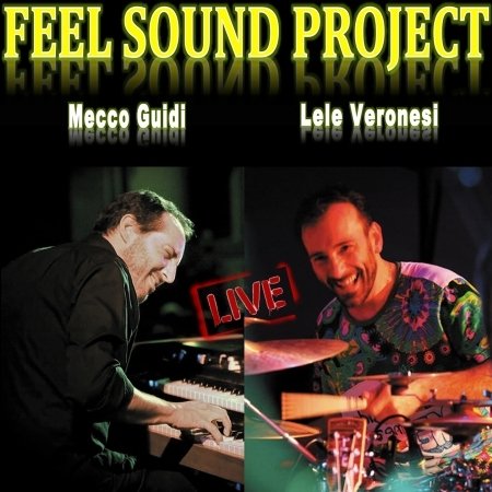 Cover for Guidi,mecco / Veronesi,lele / Feel Sound Project · Teatro Alemanni 25 Novembre 2016 (CD) (2019)