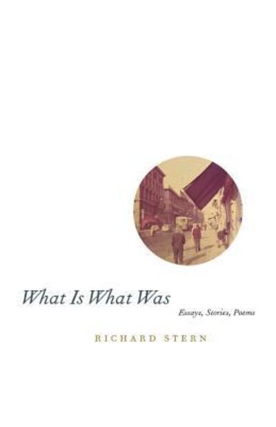 Cover for Richard Stern · What Is What Was (Paperback Book) [2nd edition] (2002)