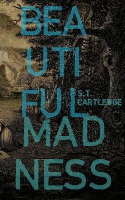 Cover for S T Cartledge · Beautiful Madness (Paperback Book) (2015)