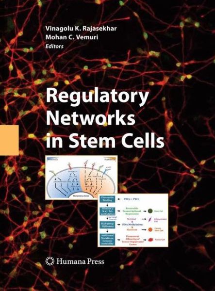 Regulatory Networks in Stem Cells - Stem Cell Biology and Regenerative Medicine - Vinagolu K Rajasekhar - Livros - Humana Press Inc. - 9781603272261 - 19 de março de 2009