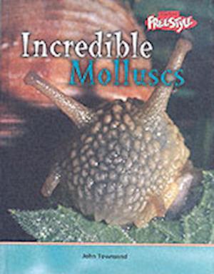 Cover for John Townsend · Incredible Creatures: Molluscs Paperback (Hardcover Book) (2004)