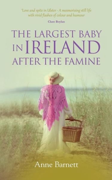 Cover for Anne Barnett · The Largest Baby in Ireland After the Famine (Paperback Book) [2 New edition] (2015)