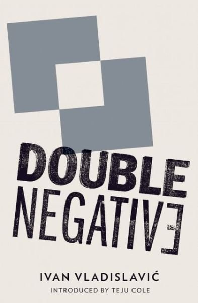 Cover for Ivan Vladislavic · Double Negative (Pocketbok) (2013)