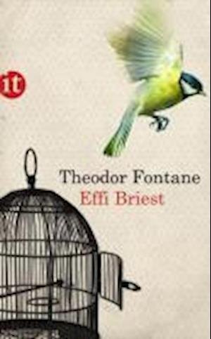 Cover for Theodor Fontane · Effi Briest (Taschenbuch) (2014)