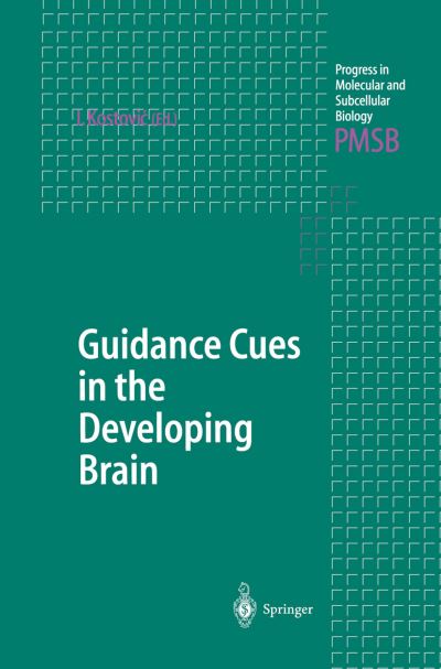 Cover for Ivica Kostovic · Guidance Cues in the Developing Brain - Progress in Molecular and Subcellular Biology (Paperback Bog) [Softcover reprint of the original 1st ed. 2003 edition] (2012)