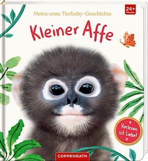 Cover for Amanda Wood · Meine erste Tierbaby-Geschichte: Kleiner Affe (Board book) (2021)