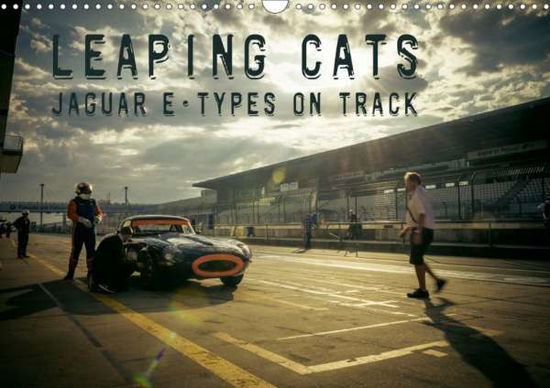 Cover for Hinrichs · Leaping Cats - Jaguar E-Types (Book)