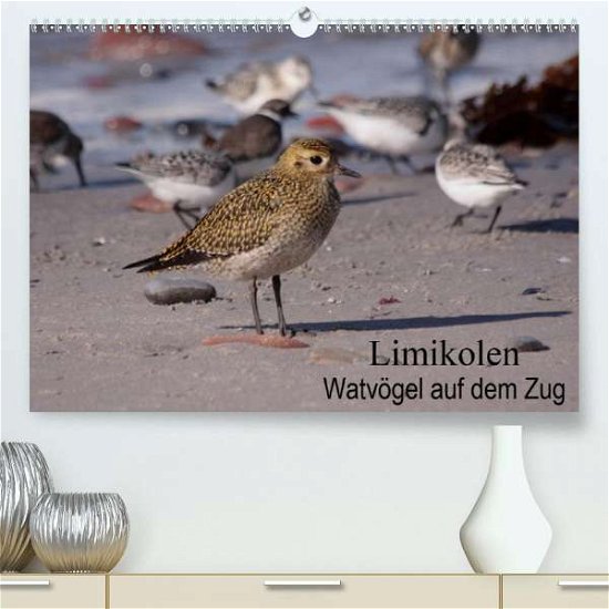 Cover for Erlwein · Limikolen Watvögel auf dem Zug (Book)