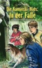 Cover for Carlo Meier · Kaminski-kids.06 In Der Falle (Book)