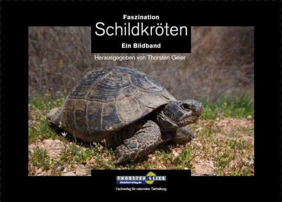 Cover for Geier · Faszination Schildkröten (Book)