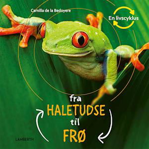 Cover for Camilla de la Bédoyère · En livscyklus: Fra haletudse til frø (Bound Book) [1.º edición] (2023)
