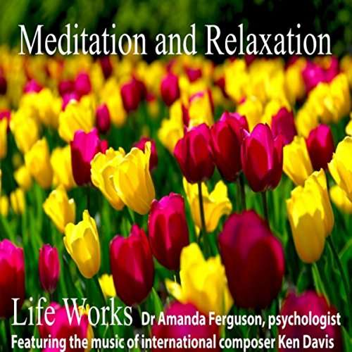 Cover for Amanda Ferguson · Life Works Meditation &amp; Relaxation (CD) (2015)