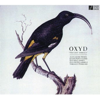 Cover for Oxyd  · The Lost Animals (CD) (2019)