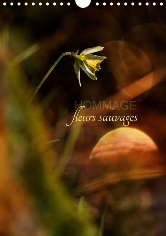 Cover for Gans · Hommage fleurs sauvages (Calendrie (Book)