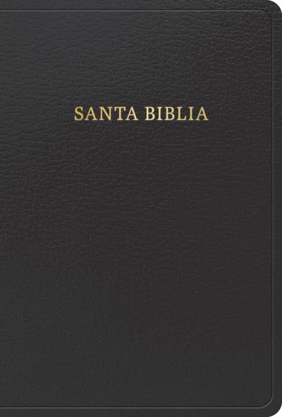 Cover for B&amp;H Español Editorial Staff · RVR 1960 Biblia Letra Grande Tamaño Manual, Negro, Imitación Piel Con índice (edición 2023) (Book) (2023)