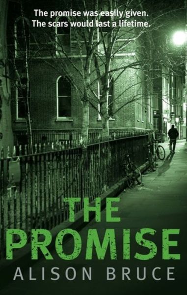 Cover for Alison Bruce · The Promise (Hardcover Book) (2016)