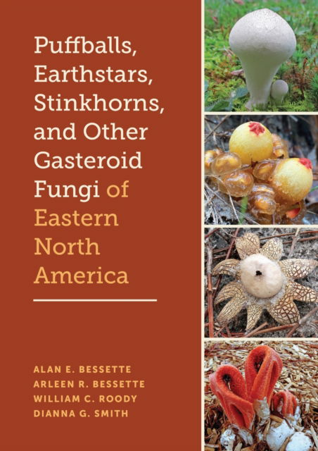 Cover for Alan E. Bessette · Puffballs, Earthstars, Stinkhorns, and Other Gasteroid Fungi of Eastern North America (Hardcover Book) (2025)