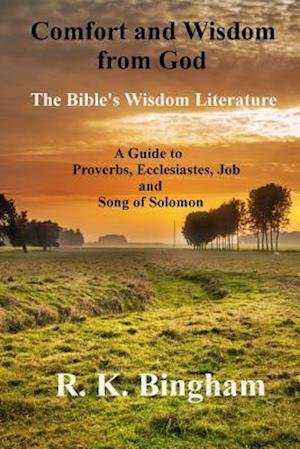 Cover for R K Bingham · Comfort and Wisdom from God: the Bible's Wisdom Literature (Pocketbok) (2014)