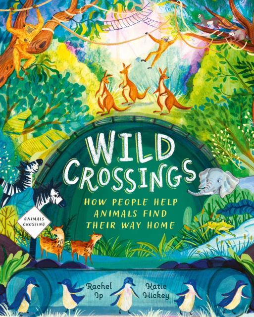 Cover for Rachel Ip · Wild Crossings: How people help animals find their way home (Gebundenes Buch) (2025)