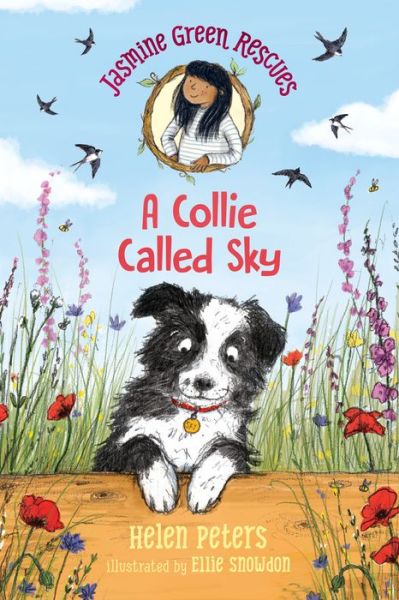 Cover for Helen Peters · Jasmine Green Rescues a Collie Called Sky (Book) (2020)