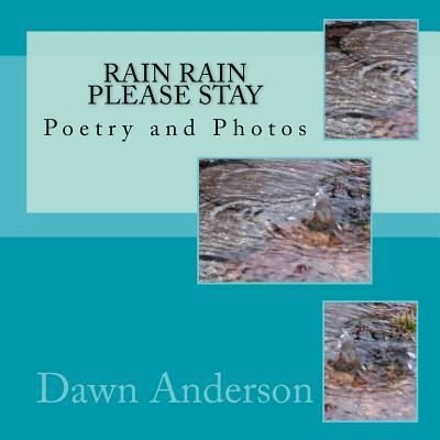 Cover for Create the Dawn · Rain Rain Please Stay (Pocketbok) (2017)