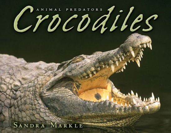 Cover for Sandra Markle · Crocodiles (Animal Predators) (Hardcover Book) (2004)