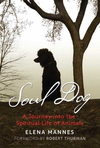 Cover for Elena Mannes · Soul Dog: A Journey into the Spiritual Life of Animals (Paperback Book) (2018)