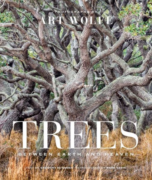 Cover for Art Wolfe · Trees: Between Earth and Heaven (Hardcover Book) (2020)