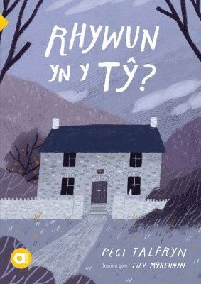 Cover for Pegi Talfryn · Cyfres Amdani: Rhywun yn y Ty? (Paperback Book) (2024)