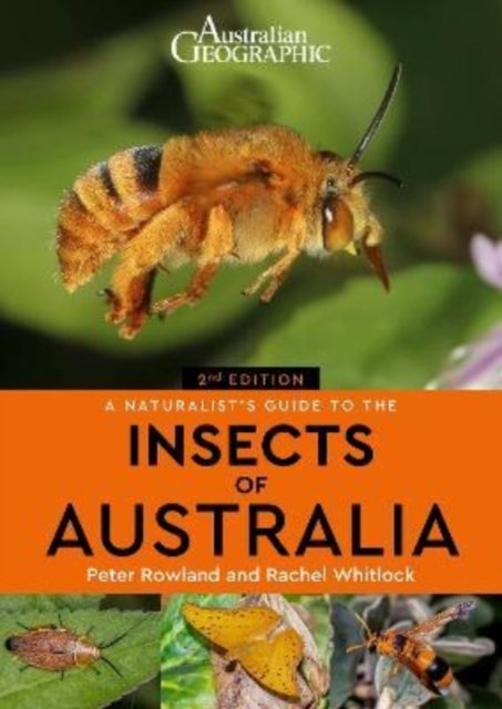 Cover for Peter Rowland · A Naturalist's Guide to the Insects of Australia (Taschenbuch) [2 New edition] (2022)