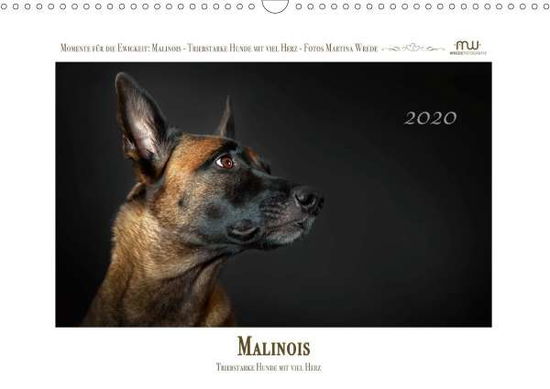 Cover for Wrede · Malinois - Triebstarke Hunde mit (Book)