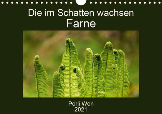 Die im Schatten wachsen - Farne (Wa - Won - Książki -  - 9783672059262 - 