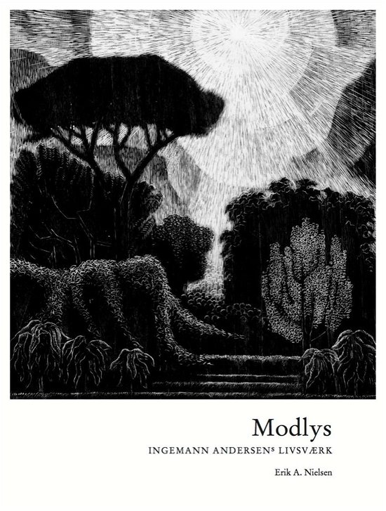 Cover for Erik A. Nielsen · Modlys (Paperback Book) [1. wydanie] [Paperback] (2014)