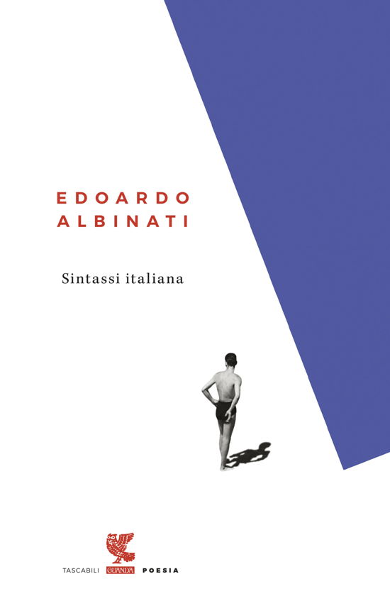 Cover for Edoardo Albinati · Sintassi Italiana (Bog)