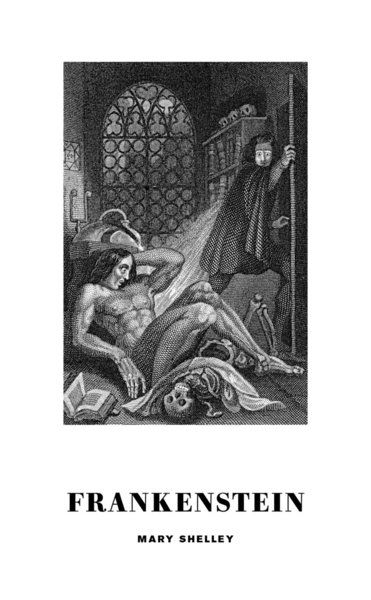 Frankenstein - Mary Shelley - Books - Sjösala förlag AB - 9789187193262 - June 20, 2017