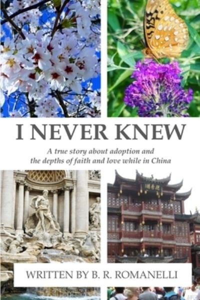 Cover for B R Romanelli · I Never Knew (Paperback Book) (2022)