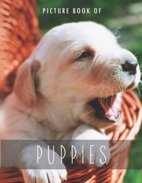 Cover for Cozy Erlnaco · Picture Book of Puppies (Pocketbok) (2020)