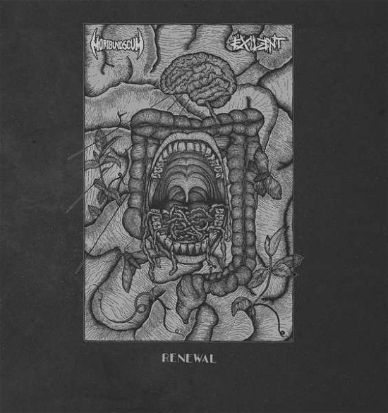 Renewal (Split) - Exilent / Moribund Scum - Musique - HALVFABRIKAT - 0200000065263 - 6 avril 2018