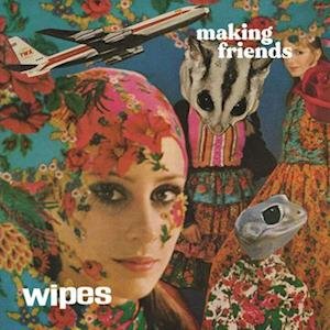 Making Friends - Wipes - Music - HEX RECORDS - 0760137113263 - October 6, 2023