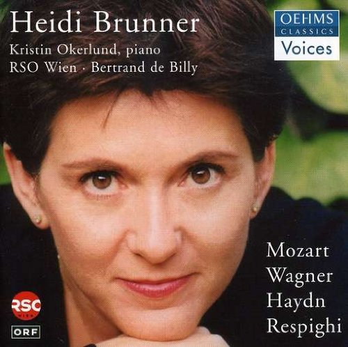 Cover for Brunner / De Billy / Vienna Rso · Voices (CD) (2004)